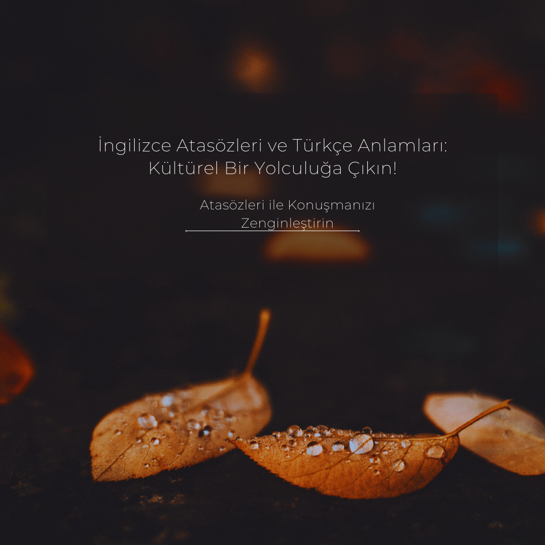 ingilizce-atasozleri-ve-turkce-anlamlari-kulturel-bir-yolculuga-cikin